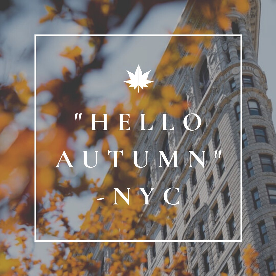 EtownLib's tweet photo. Enjoy free crafts, take home recipes and displayed books all featuring New York! https://t.co/QrrQjOgejT