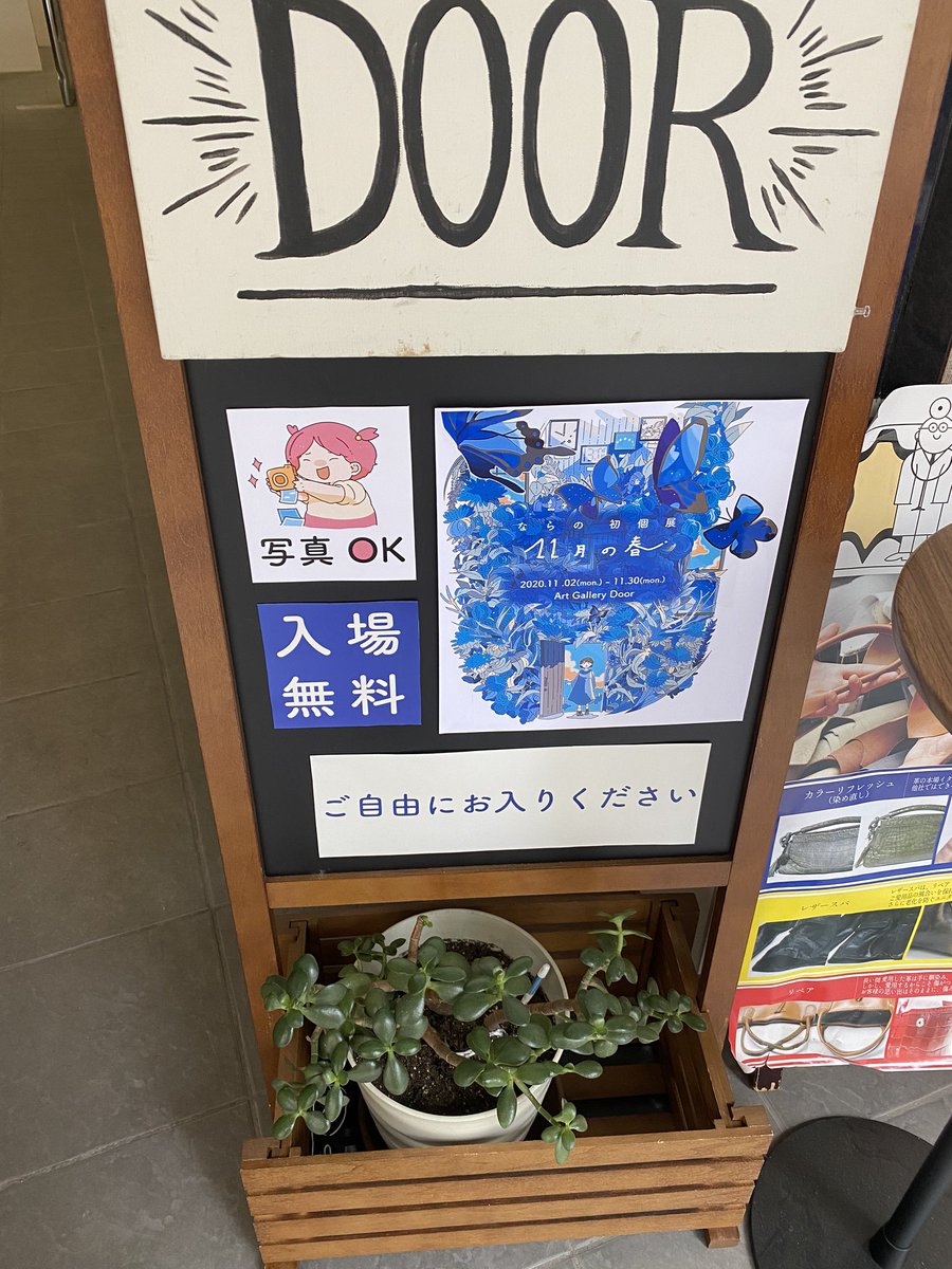 ならのさんの個展、水族館にいるみたいでとても癒されました☺️✨
絵の説明も読んでて面白かったです!

#11月の春 