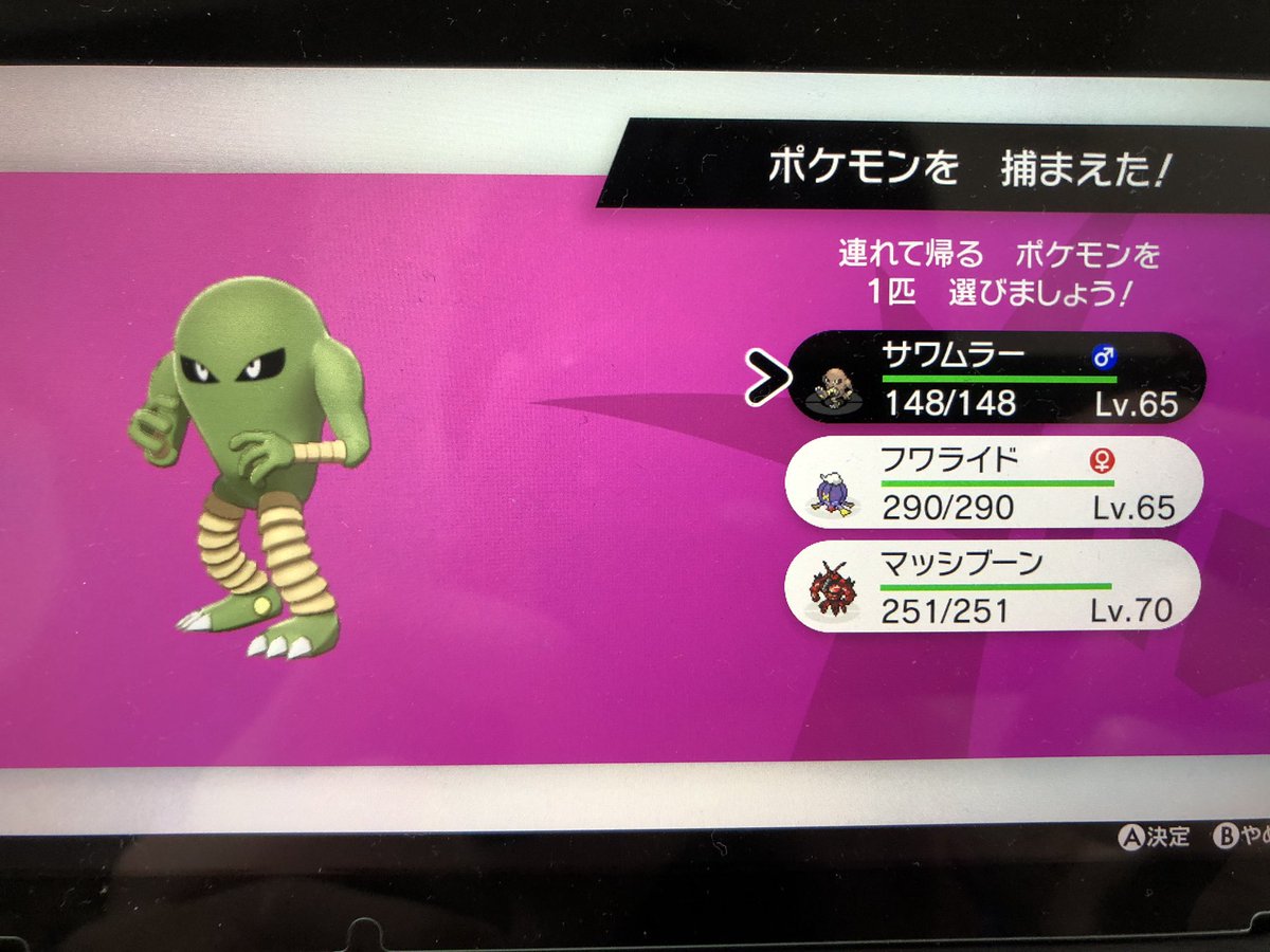 うり ダクソマン ダイマックスアドベンチャーでカラマネロとサワムラーの色違いゲット この2人色似てるなぁ