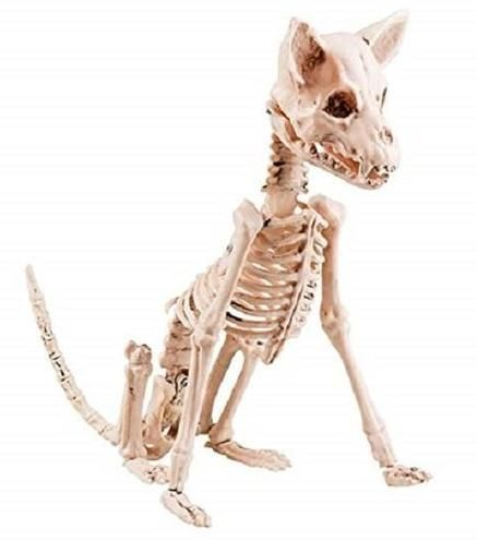 VetoNutri's tweet photo. Qui a séché ses cours d'anat? Après on s'étonne que les gens donnent du calcium pour "redresser les oreilles"... https://t.co/pkTbcSfd6T