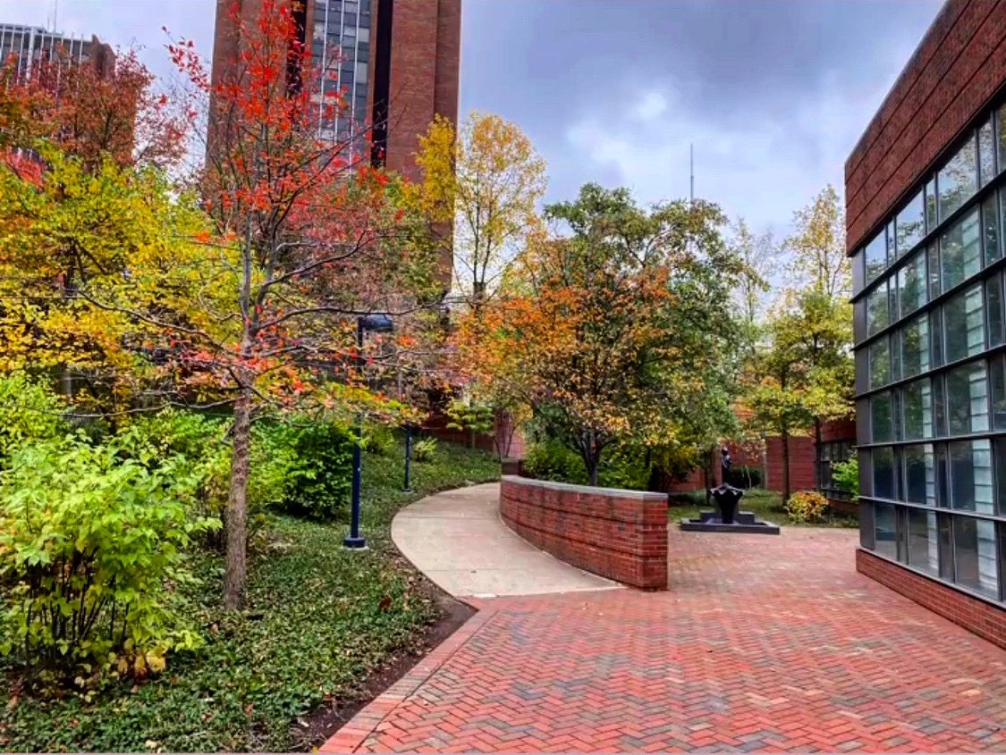 Ccm Univ Of Cinti Uc Ccm Twitter