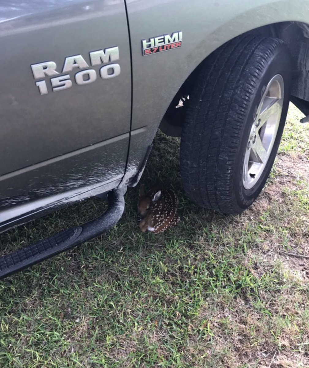 Don't limit your #compassion to just humans.