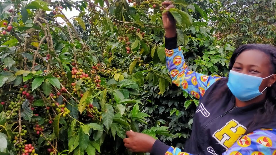 SwitchGrow's tweet photo. 'Thanks to Green to Grow I no longer have to ask my father for business advice'

Read one of our beneficiaries' story about sustainability and Covid-19 resilience!

https://t.co/A9ne4xx6pr https://t.co/q3JB3EGGCC