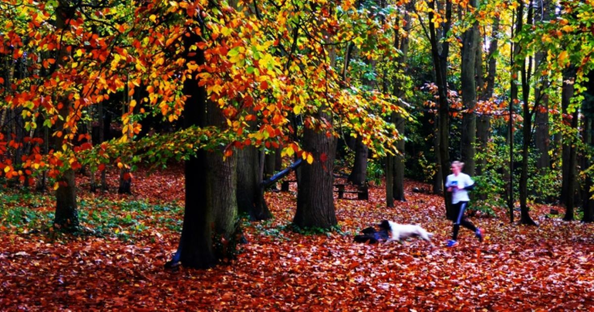 Looking for ideas of how to spend time during the Lockdown? Here are some great ideas of autumn walks in Reading and Berkshire!! Enjoy!

The new date day/night!

buff.ly/3eKx5fh