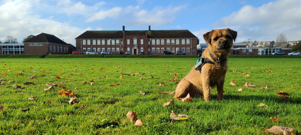 Lovely meeting everybody  @BassalegSchool1, lovely day for it too 😁
#TheBaxterProject @tagcic #TraumaInformed #Wellbeing #WellbeingDog