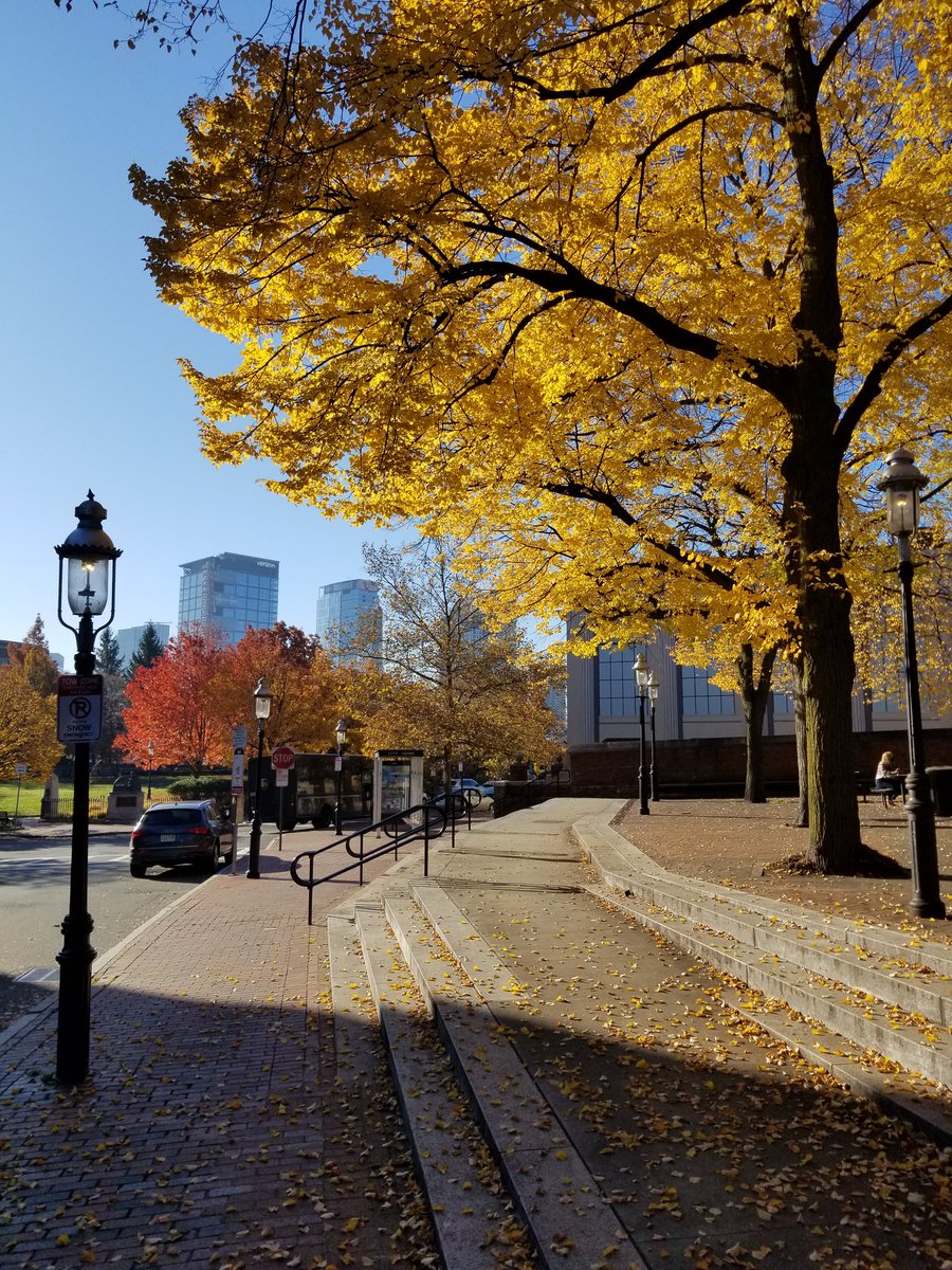 ericfisher's tweet photo. Oh look...another glorious morning https://t.co/DnDyS74v78
