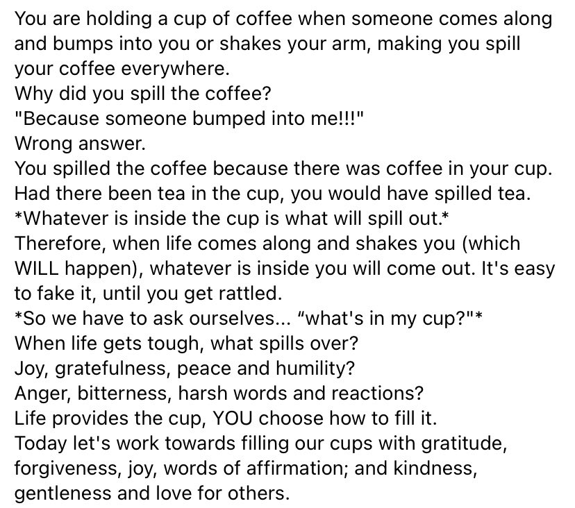 Alan Stein, Jr. tweet media