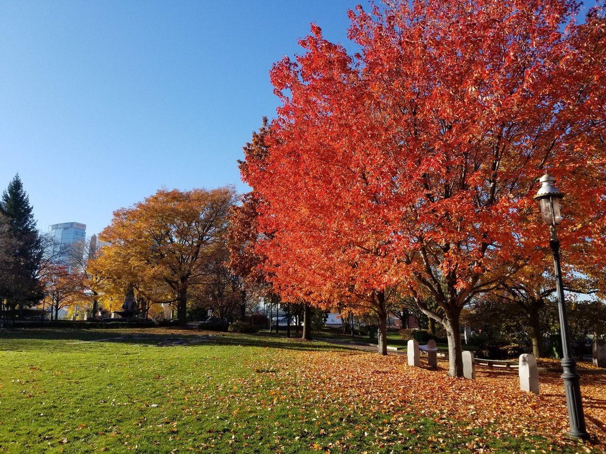 ericfisher's tweet photo. Oh look...another glorious morning https://t.co/DnDyS74v78
