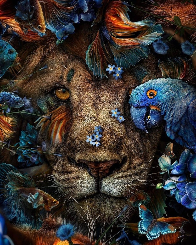 wowbywow's tweet photo. 'Maury' by Marcel van Luit (@marcel_van_luit)
​•
​#marcelvanluit #digitalart #animalart #natureart #lionart #photocollage #surrealismo #photomanipulation #newcontemporary #manipulation #digitalartist #lionlover https://t.co/meJZPBCK21 https://t.co/jkPSjaDI9P