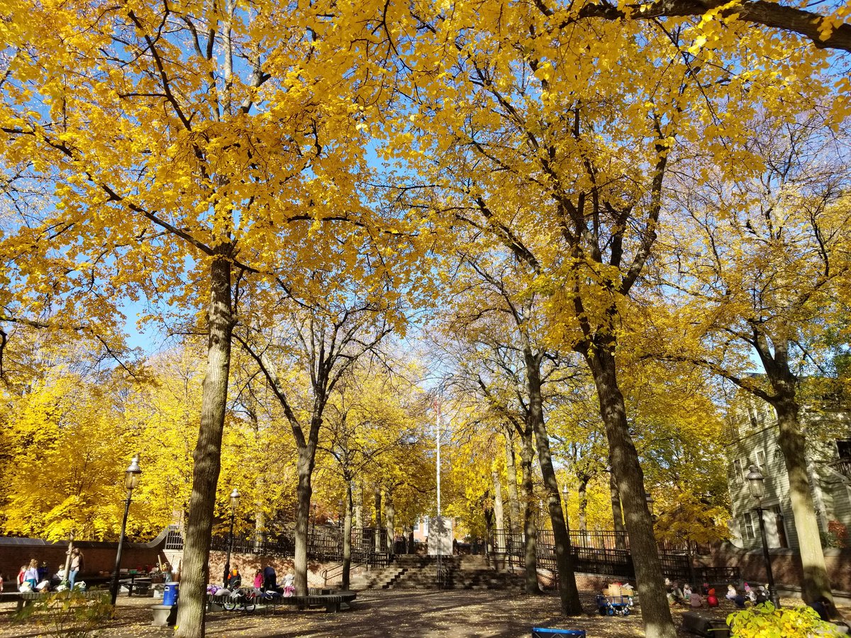 ericfisher's tweet photo. Oh look...another glorious morning https://t.co/DnDyS74v78
