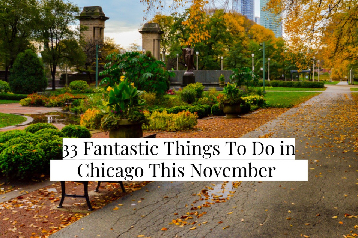 Check out these fantastic Covid-safe things to do in Chicago this November! #November #Covidsafe #whattodo
fal.cn/3brSC