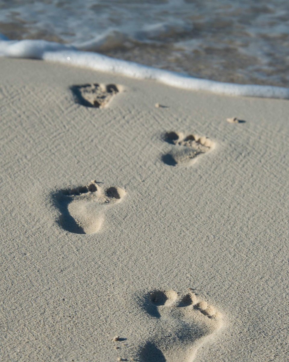 "Be so busy loving your life that you have no time for hate, regret or fear."⁠ 👣 #beachlifemindset #livingforthenextbeachday⁠
@sanddollarimages⁠
#turksandcaicosislands⁠