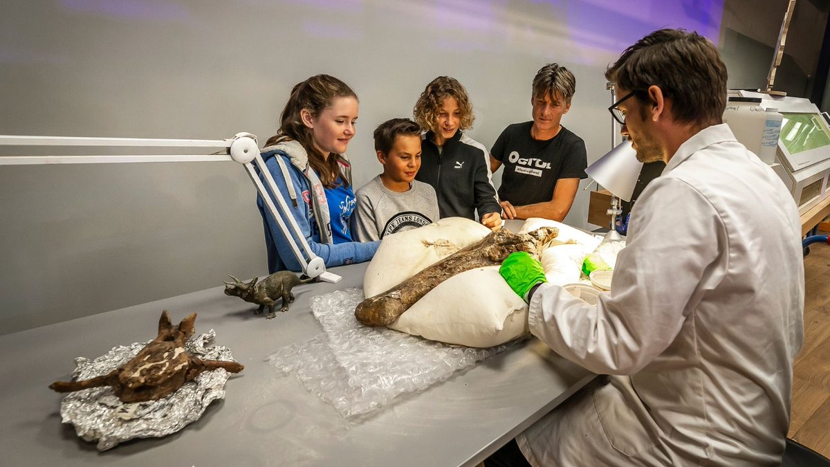 Stem op <a href="/museumnaturalis/">Naturalis Biodiversity Center</a>! Het museum is genomineerd voor de <a href="/bankgiroloterij/">BankGiro Loterij</a> Museumprijs 2020. 🎉 Hiermee maken ze kans op 100.000 euro voor de realisatie van hun museumdroom. Stemmen kan via naturalis.nl/museumprijs.

📷: <a href="/koenmol/">Koen Mol</a>