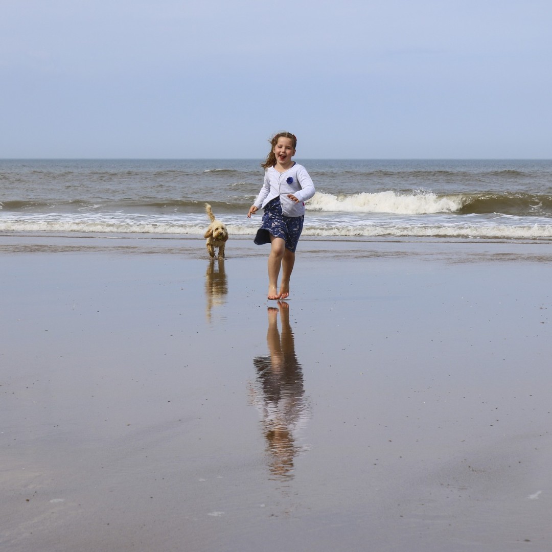 RoyalShellFL's tweet photo. Happy Monday! We hope your week is all smiles like this girl on the beach with her dog. #HappyMonday #MondayMotivation #RoyalShellStyle https://t.co/5PiNn5FNwS
