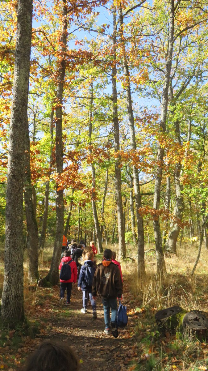 PaysRlv's tweet photo. [SPÉCIAL JEUNE PUBLIC]Retour sur la visite #nature de ce matin dans la #forêt de #ChâtelGuyon avec une classe de CE1 dans le cadre du projet #Arbres. Un grand merci à Loïc Bertrand, #sylviculteur employé aux espaces verts de @Chatel_Guyon pour son intervention riche et ludique. https://t.co/b5cV0zHQEs