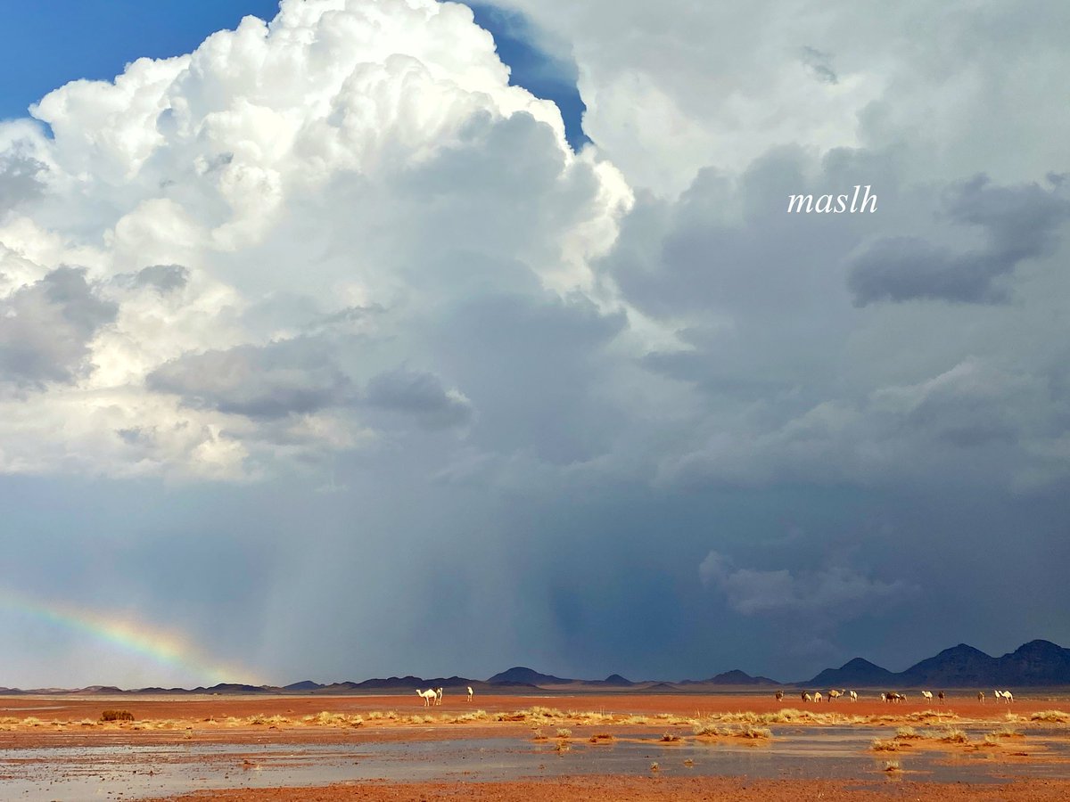 اليوم جميع عناصر الجمال اكتملت ولله الحمد 

#حايل