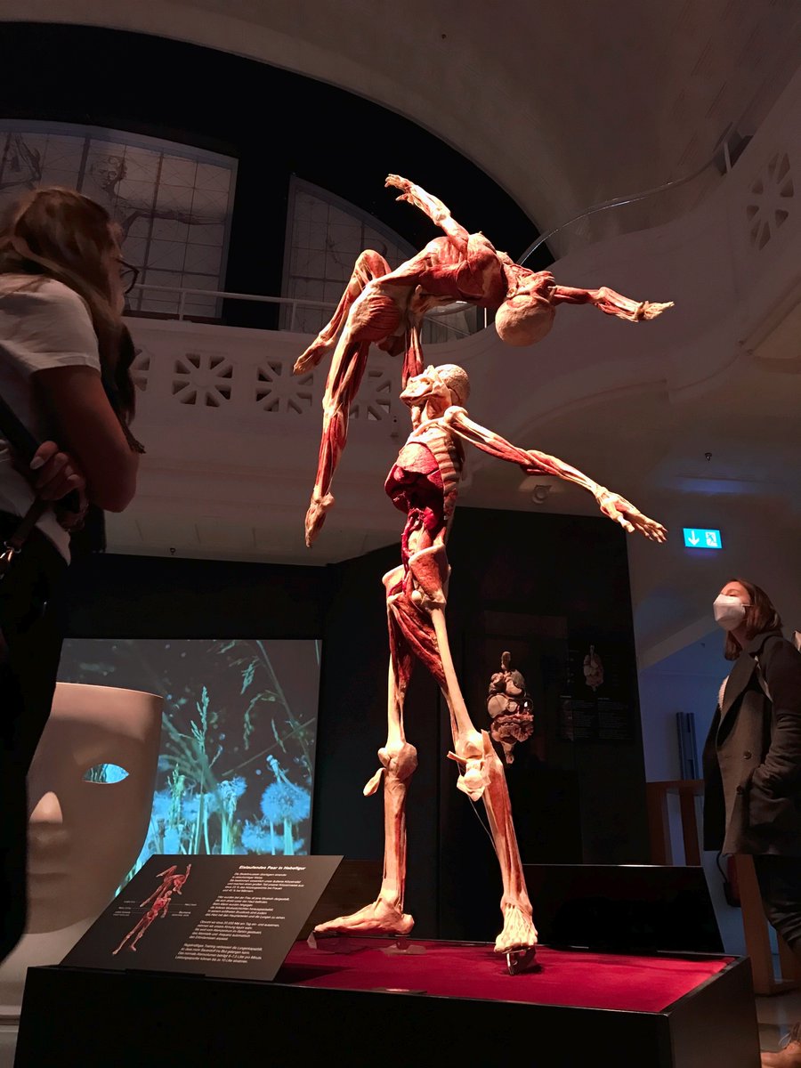 radioaktiv's tweet photo. Wie entsteht Glück &amp; was hat das eigentlich mit unserer Gesundheit zu tun? Diesen Fragen geht die "Körperwelten"-Ausstellung in Heidelberg zum Thema "Anatomie des Glücks" nach. #radioaktiv-Moderatorinnen Verena &amp; Selin haben sich die Exponate angesehen. 🎧https://t.co/Ay1xxLqhpu https://t.co/BuMm99J31n
