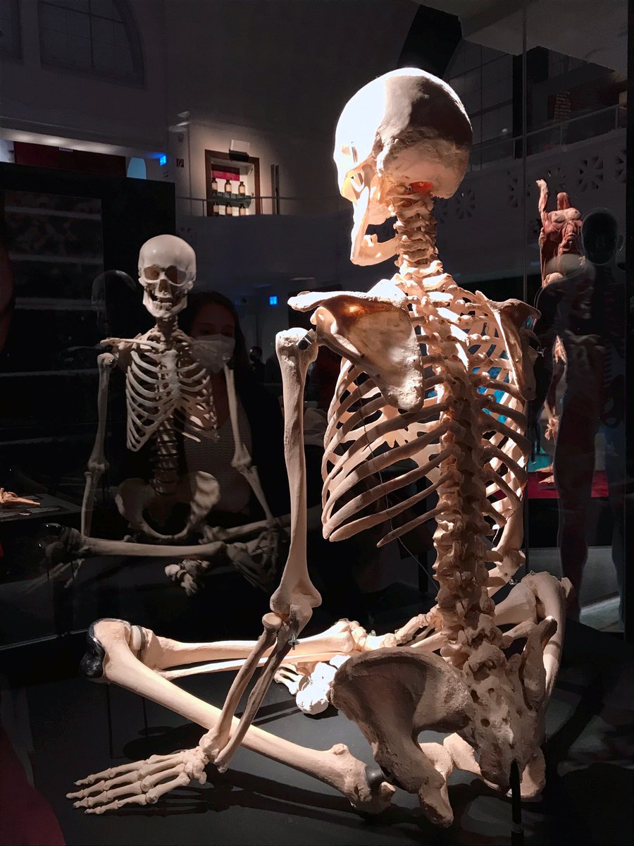 radioaktiv's tweet photo. Wie entsteht Glück &amp; was hat das eigentlich mit unserer Gesundheit zu tun? Diesen Fragen geht die "Körperwelten"-Ausstellung in Heidelberg zum Thema "Anatomie des Glücks" nach. #radioaktiv-Moderatorinnen Verena &amp; Selin haben sich die Exponate angesehen. 🎧https://t.co/Ay1xxLqhpu https://t.co/BuMm99J31n