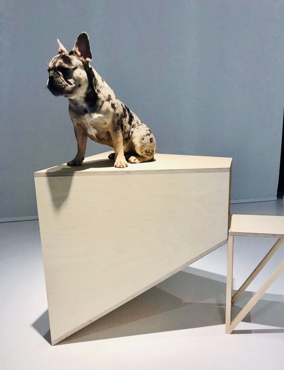 ArchieMac12's tweet image. I went to the #architecturefordogs exhibition @japanhouseldn &amp;amp; I struck a pose