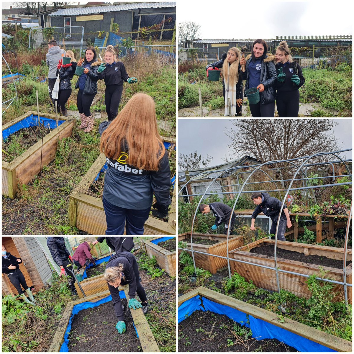 SHSCompCurr's tweet photo. Back up the allotment after 9 months away, loads of hard grafting to do but have the best students helping out 🍅🥔. Go 11B #workskills @SeahamHigh https://t.co/qRdwy7hb4j