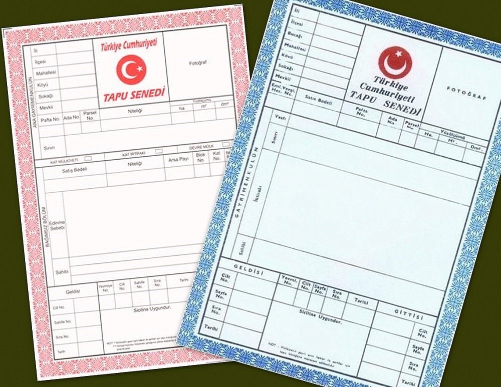 Soner Can TUFANOGLU tweet media