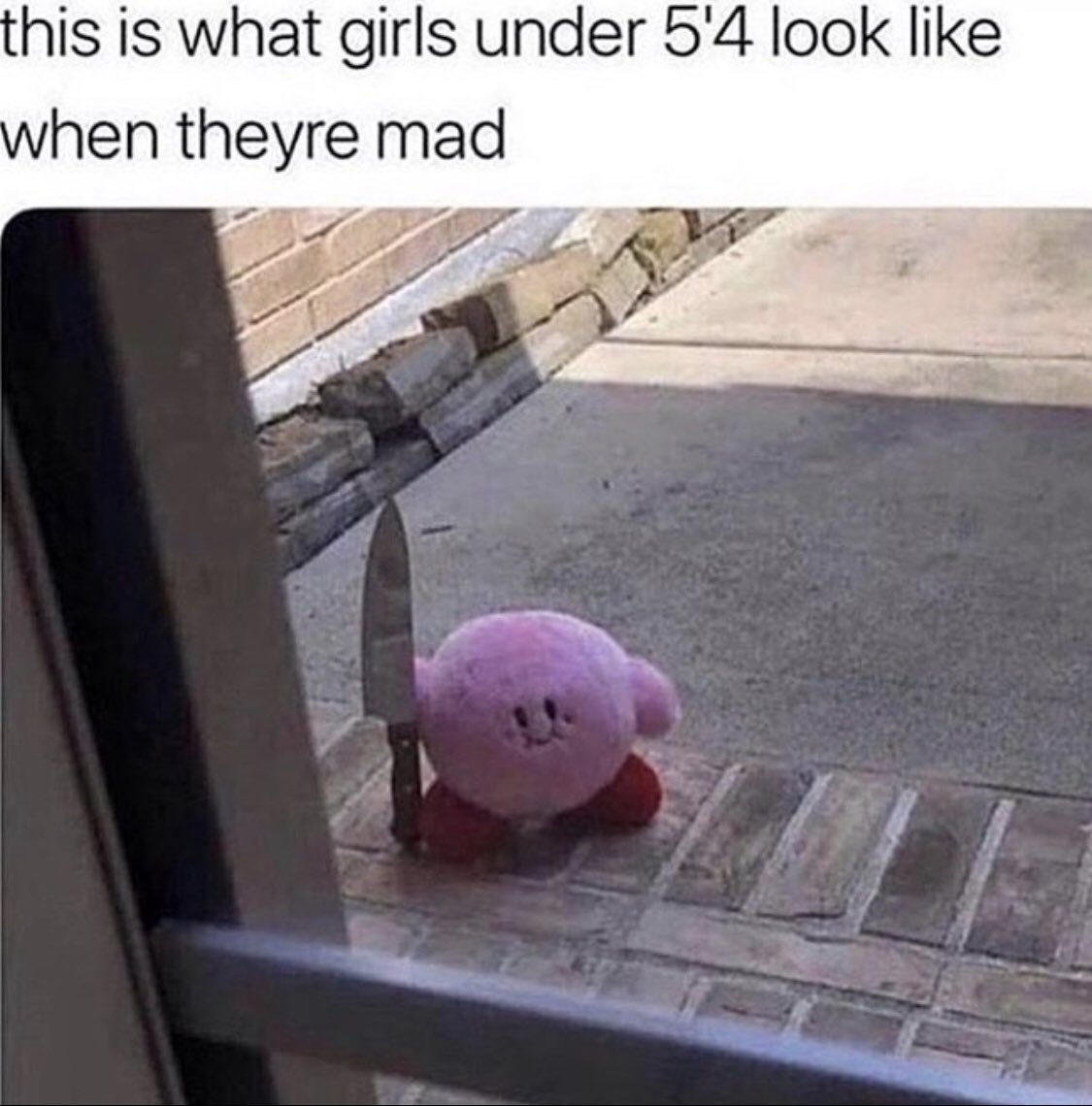 brooke_nichoIe's tweet photo. @AmyCim for Meme Monday 😂 https://t.co/Yk2FcKYQ0g