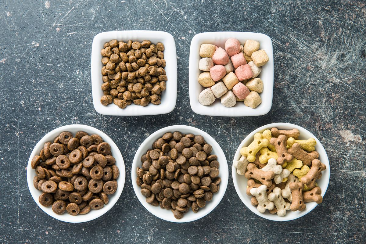 yes_estaloca's tweet photo. Con un mercado de alimentos para mascotas que crece cada día, ofreciendo a los dueños de mascotas cada vez más alternativas, esto hace que las personas que quieran alimentar de la mejor manera posible a sus animales de compañía
#RevistaWeepec #WeepecApp
https://t.co/2Si4NPCM70 https://t.co/RG0uV27UFO