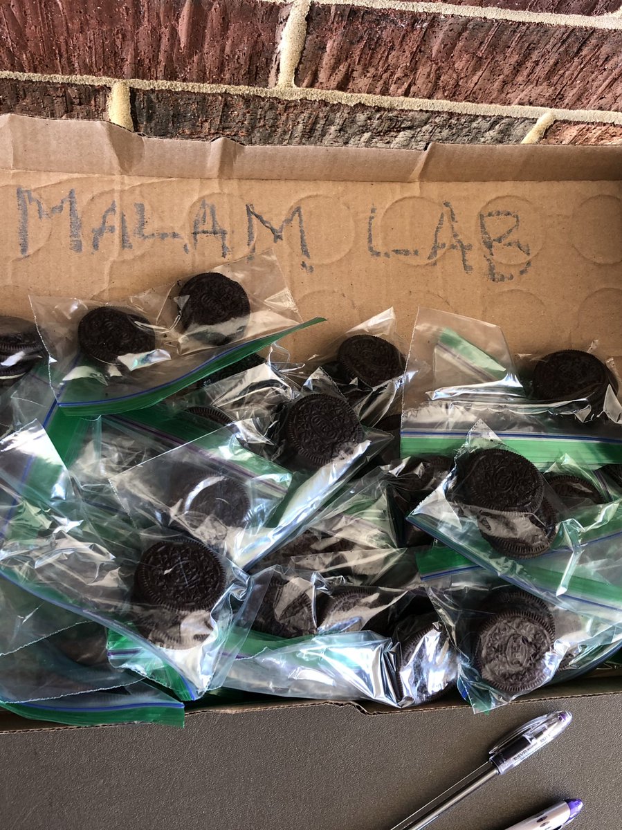 MalamScience's tweet photo. Thank you to everyone who came to a #labdelivery stop and said hello!
Still need your supplies? Head to PFHS to get yours &amp; remember, no eating the lab equipment (until it is time!). #pandemicteaching #luckyteacher Love the @PFannouncements community! https://t.co/b0Qu83AeI2