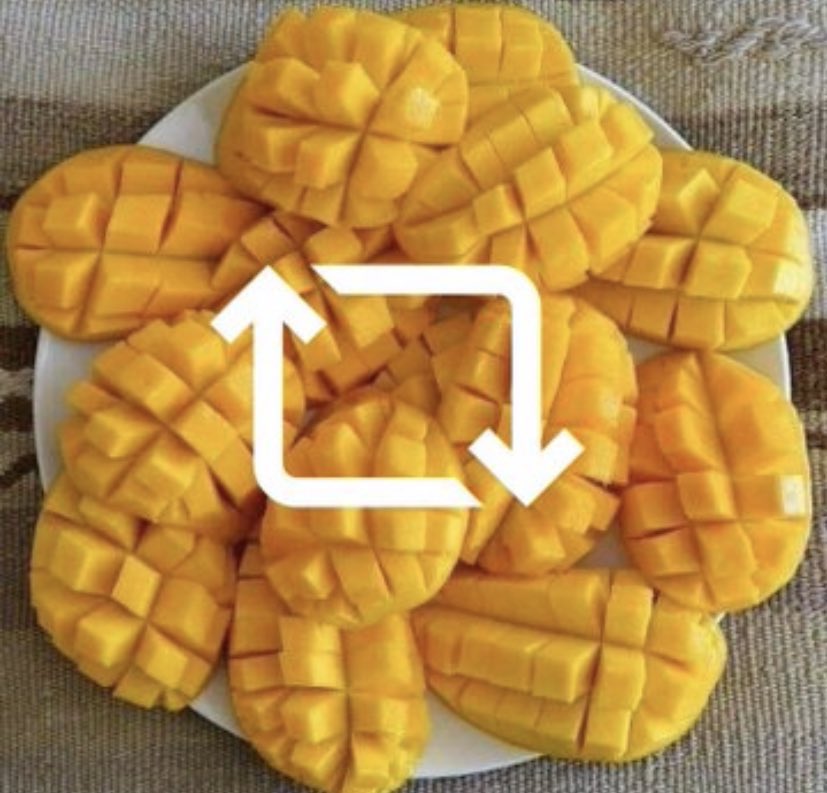 ScribeFlash's tweet image. Faut mettre fin au débat