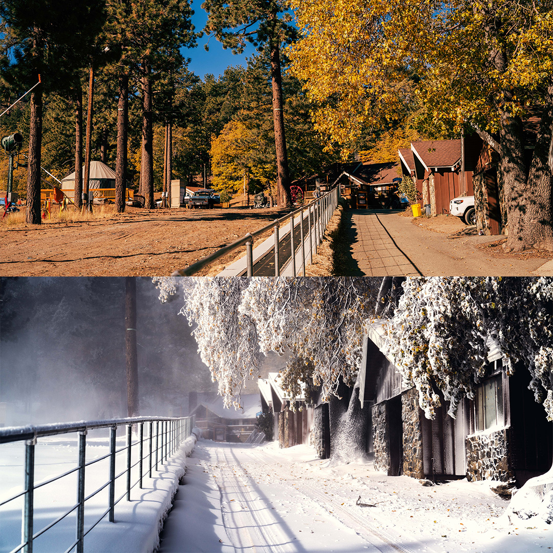 mthigh's tweet photo. In the course of a few days, the leaves went from green to yellow to white. We have the potential to open late THIS WEEK thanks to the weather and tireless efforts of out @mountain_high_snowmakers ! Stay tuned for the official announcement!

#mthigh #whereyougoforsnow https://t.co/DkBXHqN81m