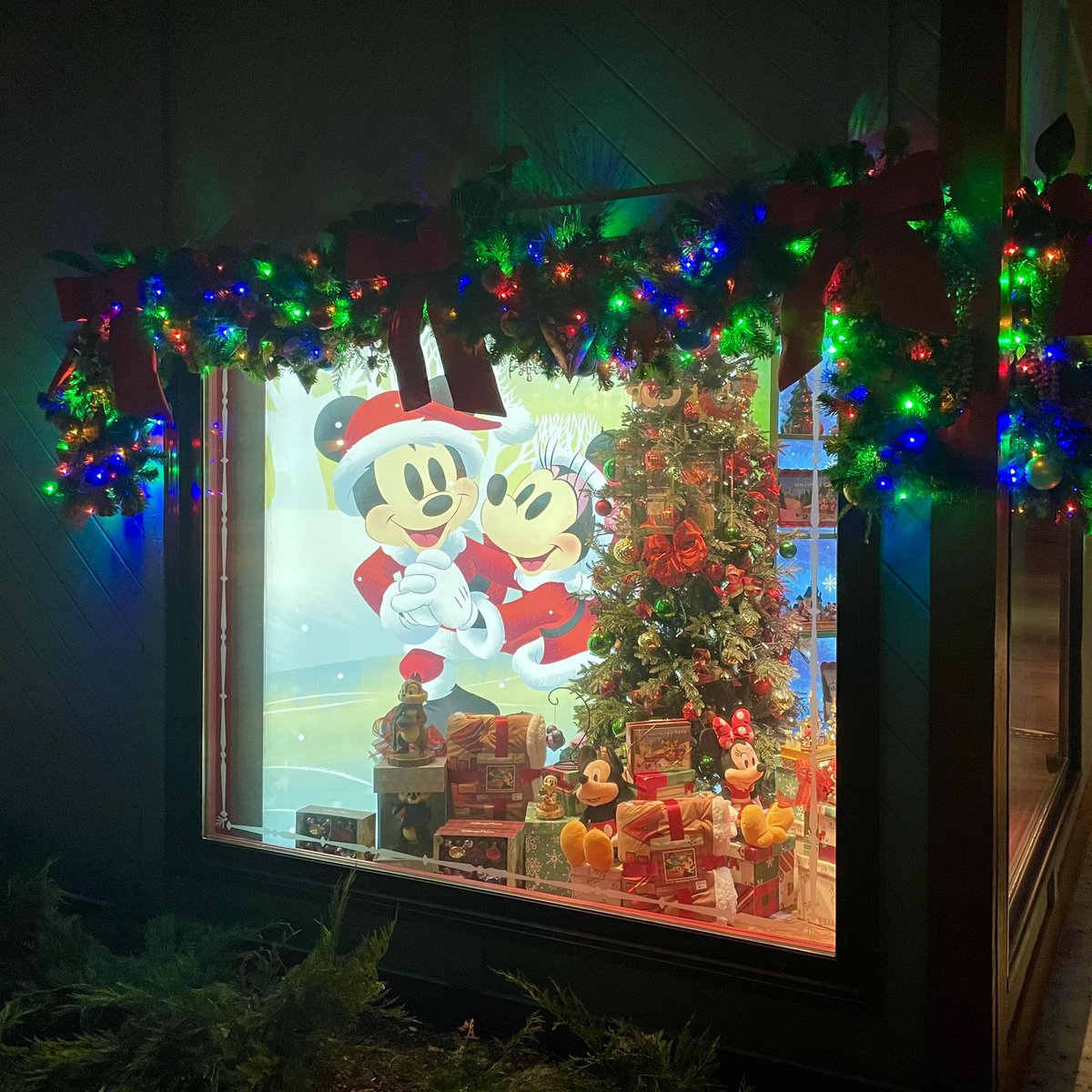 ChasingDreamsWM's tweet photo. ‘Tis the Season at Disney Springs 🌲🎅🏼🤩❤️

#chasingdreams #disneysprings #downtowndisney #disneylovers #lifeisgood #epcot #disneybeauty #vlogger #disneyisbeautiful #disneyislife #disneyvlogger #disneyparks #chasingdreamswithmike #disneyvacation  #christmastime #disneychristmas https://t.co/V7lOU27IL1