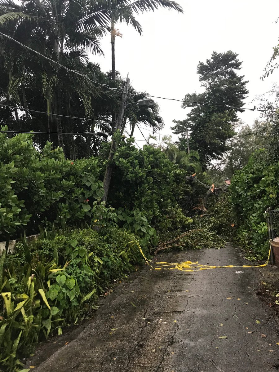 insideFPL's tweet image. It will take longer to restore outages in some areas with severe flooding and heavy vegetation, but we will continue working around the clock to get the lights back on for all of our customers. #Eta