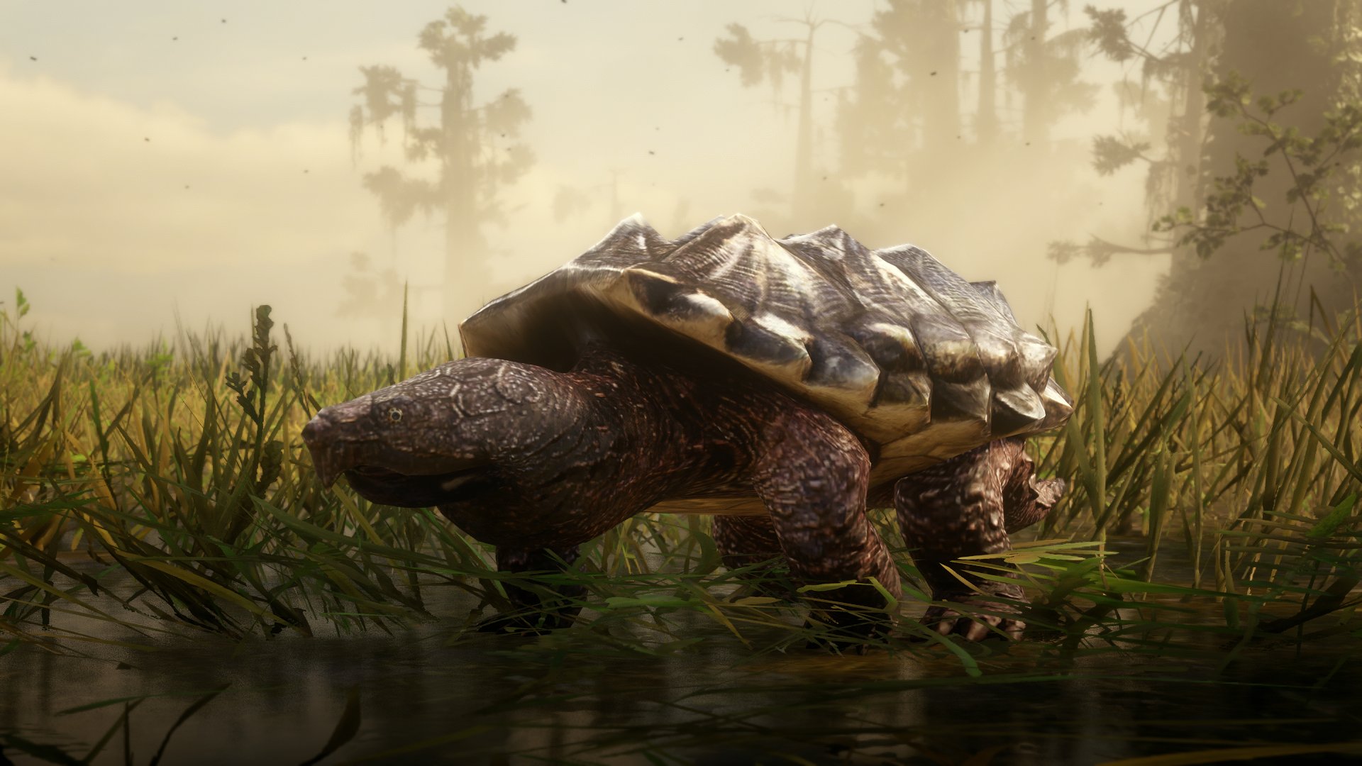 SLATZ_7 "Alligator Snapping Turtle #RDR2 #RockstarGames / Twitter