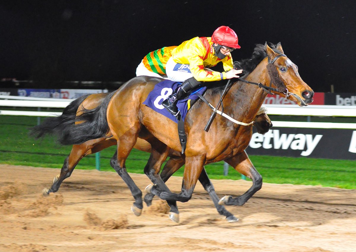 Southwell_Races's tweet photo. RACE 4 RESULT - @Betway Handicap

🥇 Queen Of Kalahari
🥈 Free Love
🥉 Dark Shot

Jockey: @edmundzz98

Trainer: @EyreLes

Owners: Les Eyre Racing Partnership I https://t.co/7E6sZWxIxR