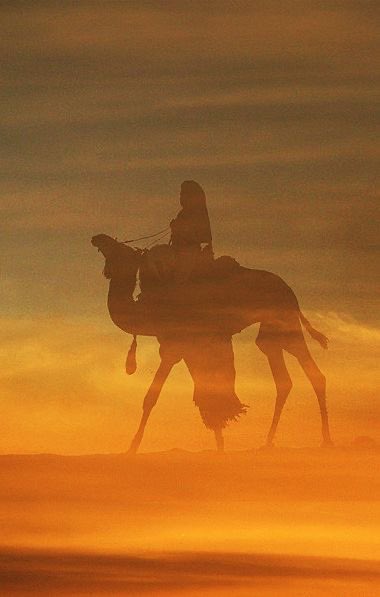 Les songhai appelle leur langue le « koyraboro chenni » ou « koyra cinni » ou encore « korandje » cela signifie « la langue de la ville » ou « la langue des citadins » en opposition a la langue des nomades.