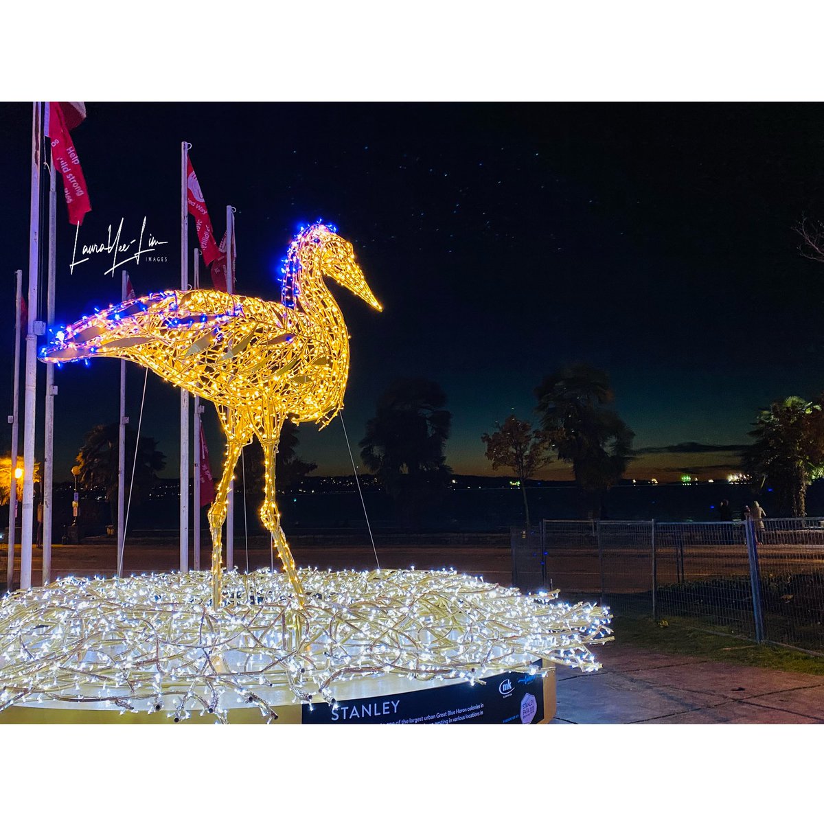 LoLoD_77's tweet photo. We missed @lumiereyvr last year so mum wanted to go before the rain starts this week. Beautiful night, beautiful installations. #vancity #vancouver #art #prisms #bells #jimdevaplaza #crane #tree #bear #englishbay #sunset #starrysky #lights #downtown https://t.co/KcUlMouqi4