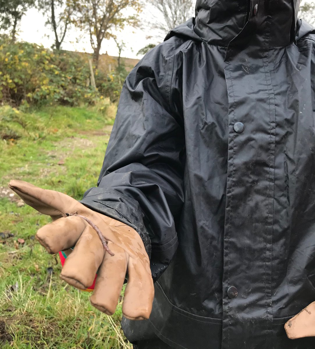 MrsBatemanFS's tweet image. Year 3 had fun digging to find out about the make up of soil today.  Here are some of our finds.