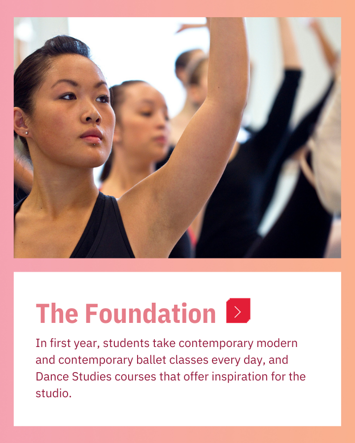 York U AMPD tweet media