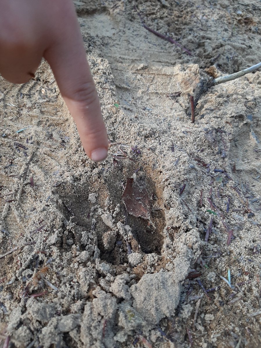 M. Michael Lalonde tweet media