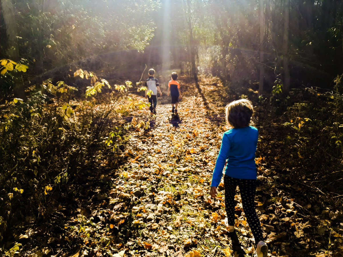 M. Michael Lalonde tweet media