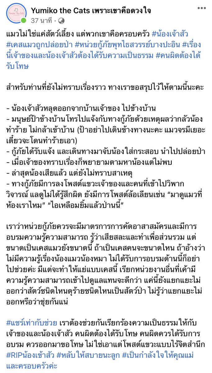 adearabitty's tweet photo. แง เศร้ามาก น้องหลุด แล้วเพื่อนบ้านแจ้งกู้ภัยว่าแมวจะกัด กู้ภัยเลยจับแมวใส่กระสอบและเอาไปทิ้งในป่า ปรากฏน้องตาย 😭😭😭😭😭 https://t.co/y4GTFX9u0N