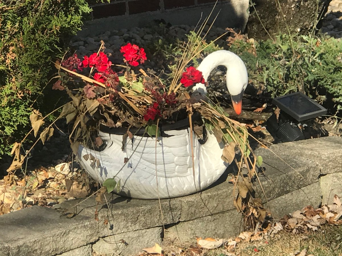 CalebBrantley7's tweet photo. A single moment in life can explain the essence of time. Love being around this place. @tvlee_dde https://t.co/jp4VaBOzfg
