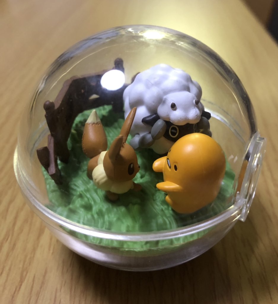 あおい على تويتر ポケモンテラリウムの中身はイーブイとウールーでした これを見た娘は何故かイーブイとウールーだけをボールに入れて振っていました