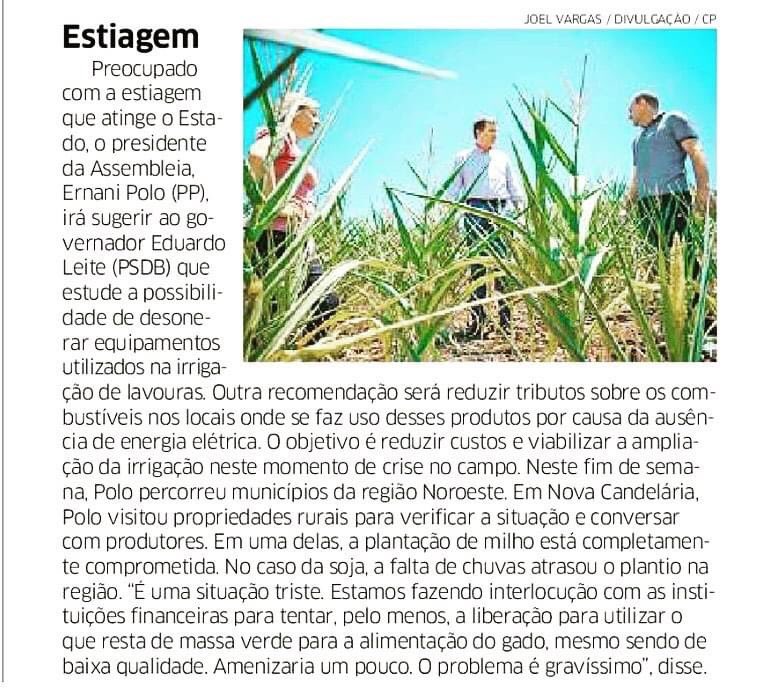 ernanipolo's tweet photo. Confira matérias publicadas nas colunas de @TalineOppitz no @Correio_do_Povo e @giloeblein em @gzhdigital, sobre os efeitos da estiagem nas lavouras gaúchas.
#estiagem #secars #agricultura https://t.co/VZZjZDUH7b