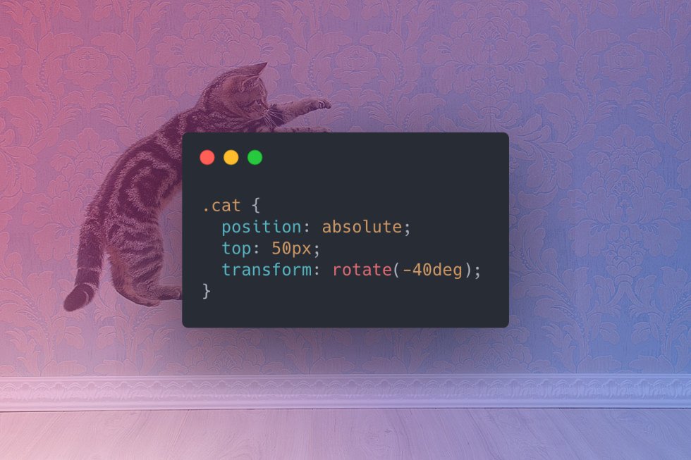 Cats defy the laws of physics. Their behavior can only be described by CSS.

#CSS #programmingMemes #CatsOfTwitter