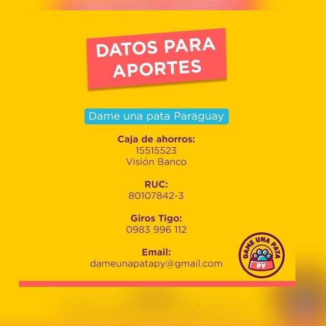 dameunapatapy's tweet image. 🧵 

CERRAMOS POR FALTA DE FONDOS Y LUGAR 🚨🚨🚨

No damos más.
Por más que publiquemos a los 40 perros y 10 gatos en adopción que tenemos no están siendo adoptados.