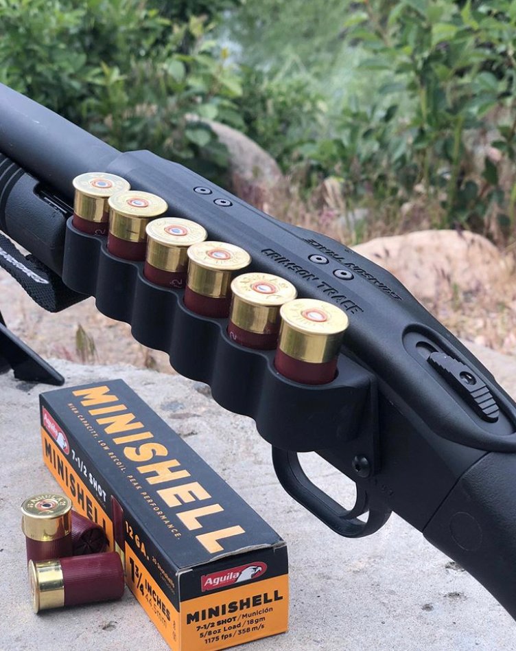 AguilaAmmo's tweet photo. Locked &amp; Loaded! 

#minishells #aguilaammo #feedyourfirearm #gunsarehungry #12gauge #shotgun #homedefense #hunting #fun #minishellmonday #minibutmighty #shootingguns #shooting https://t.co/RPMratE9yS