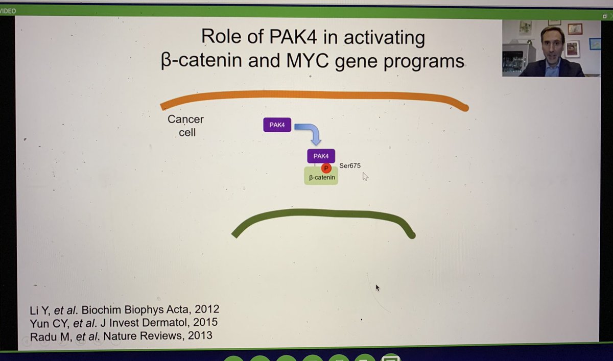 BernardAFox's tweet photo. Prof Toni Ribas #immunotherapy #resistance expert @UCLAJCCC & @AACRPres /Talks Primary Resistance to #PD1/Great story on association of #PAK4 in Tu with #immune #exclusion #TCGA/inhibition blocks #beta #catenin & #MYC/improved therapy in #melanoma model/#SITC2020 @sitcancer https://t.co/aXteRmNlEe