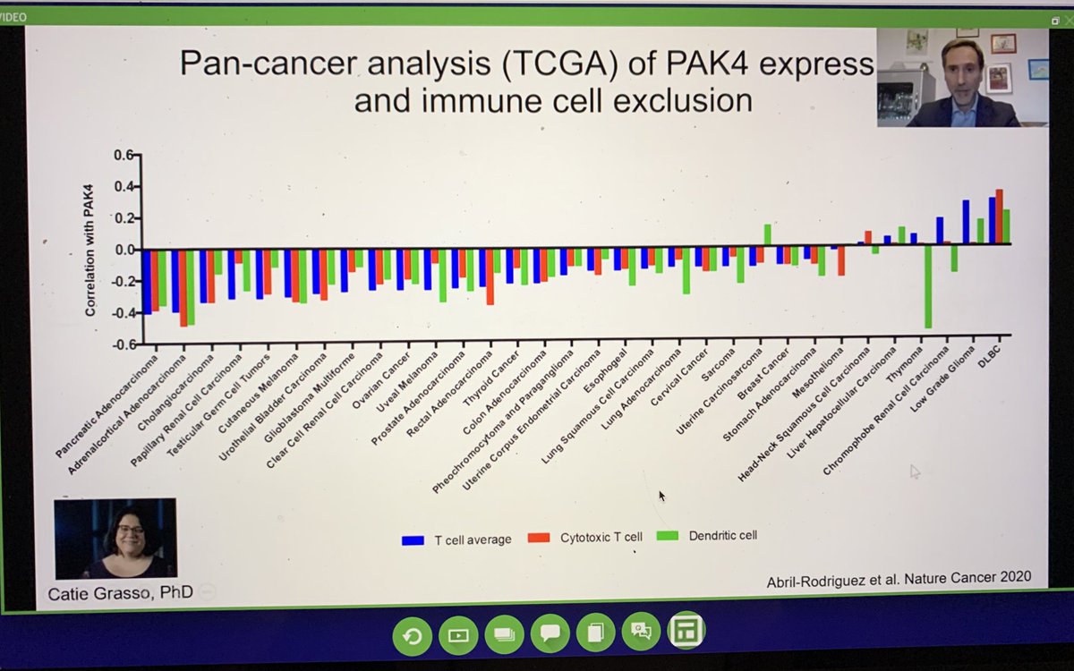 BernardAFox's tweet photo. Prof Toni Ribas #immunotherapy #resistance expert @UCLAJCCC & @AACRPres /Talks Primary Resistance to #PD1/Great story on association of #PAK4 in Tu with #immune #exclusion #TCGA/inhibition blocks #beta #catenin & #MYC/improved therapy in #melanoma model/#SITC2020 @sitcancer https://t.co/aXteRmNlEe