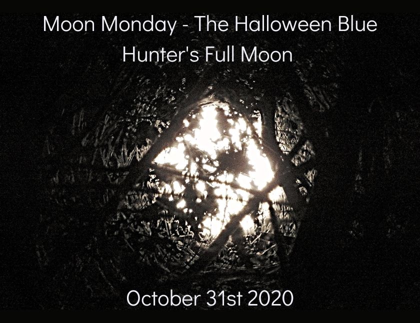 TraciYorkWriter's tweet photo. For #MoonMonday &amp; #MondayBlogs - my second set of the #Halloween Blue Hunter's Full #Moon October 31st 2020

https://t.co/Sfkq8SkUW1

#photography #crypto #blog #Hive #PoSH #Nikon #FullMoon #FallNights #HuntersMoon #BlueMoon2020 #October2020 #moonlight #MoonLovers #hiveblopomo https://t.co/0XE18LdGnw